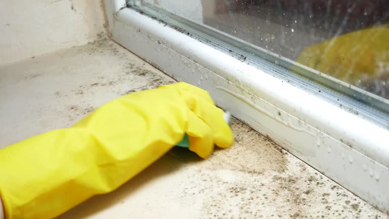 Mold Remediation for Rental Properties in Wedgefield, FL